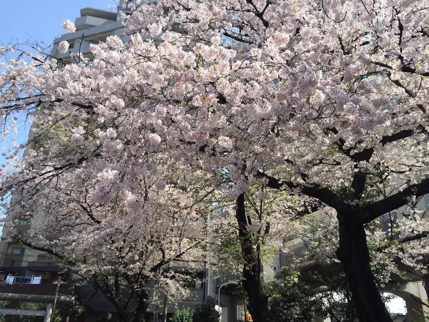 Building A101 / Vacation Stay 1276 Tokyo Apartment